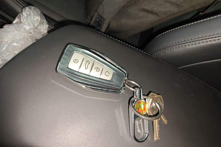 Used Geely Auto Monjaro L 2021 2.0TD DCT EVO Two-Wheel Drive Prestige Version