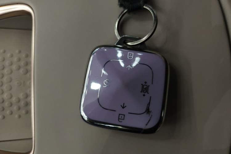 Used Zeekr X 2024 Four-Seat Rear-Drive Version Vehicle Key