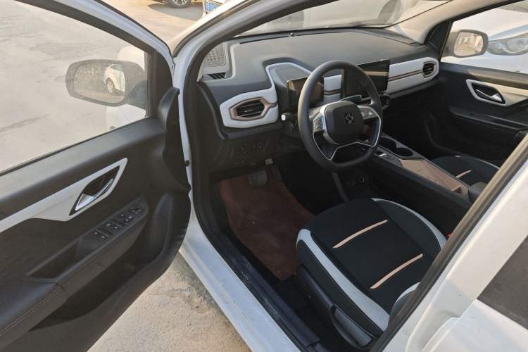 Used SOL E10X 2022 Flower Fairy Design Dandelion