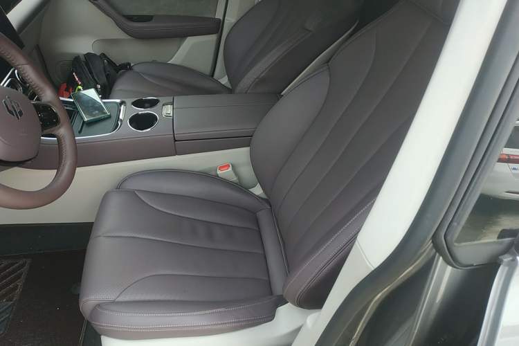 Used Leapmotor C11 2021 Executive Edition 510