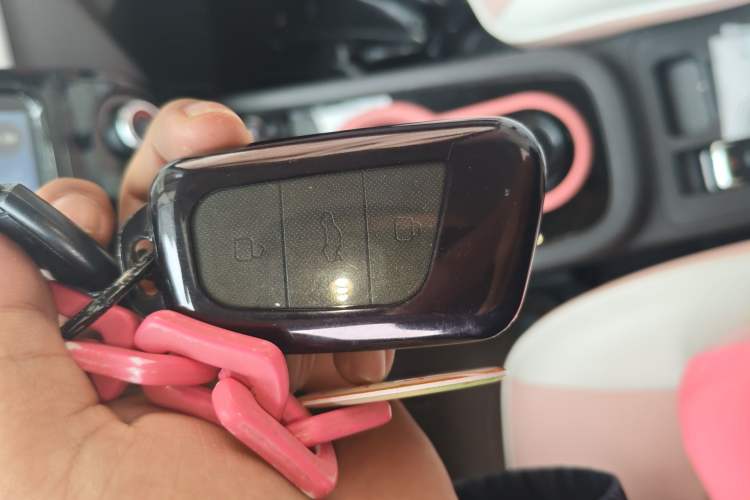 Used Chery QQ Little Ant 2022 Sweet Pink Edition Half-Sugar Version Lithium Iron Phosphate 30 kW 301 km