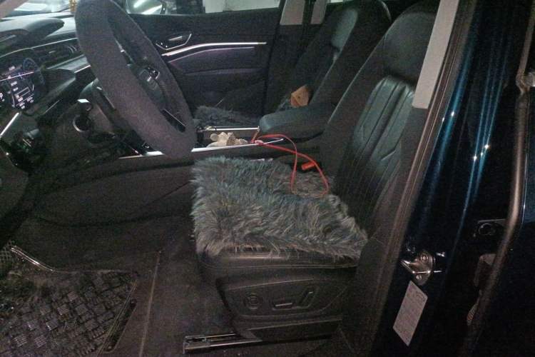 Used Audi e-tron 2019 55 quattro Technology Edition
