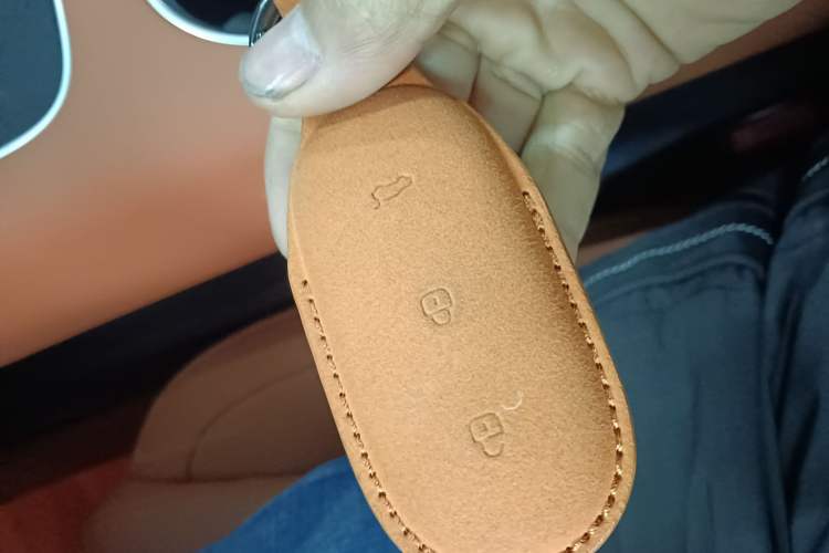 Used Li Auto L6 2024 Pro Model