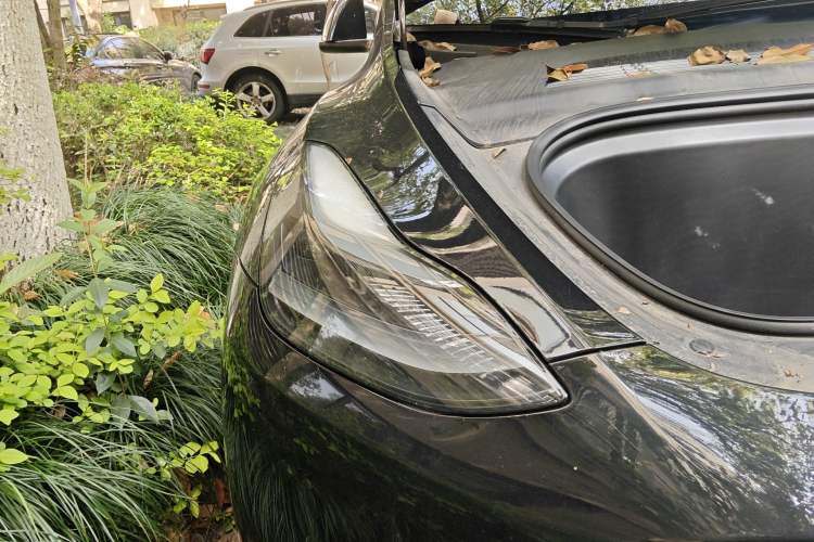 Used Tesla Model Y 2023 Rear-Wheel-Drive Version