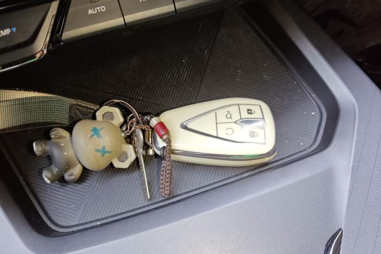 Used Oshan X5 PLUS 2023 Revised Version 1.5T DCT Navigation Edition
