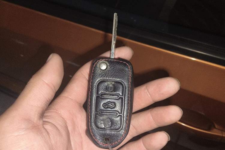 Used Volkswagen Polo 2014 1.6L Cross Polo Automatic