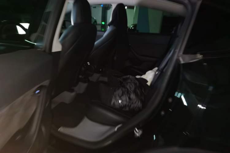 Used Tesla Model Y 2022 Revised Version Rear-Wheel Drive Left Rear Seat