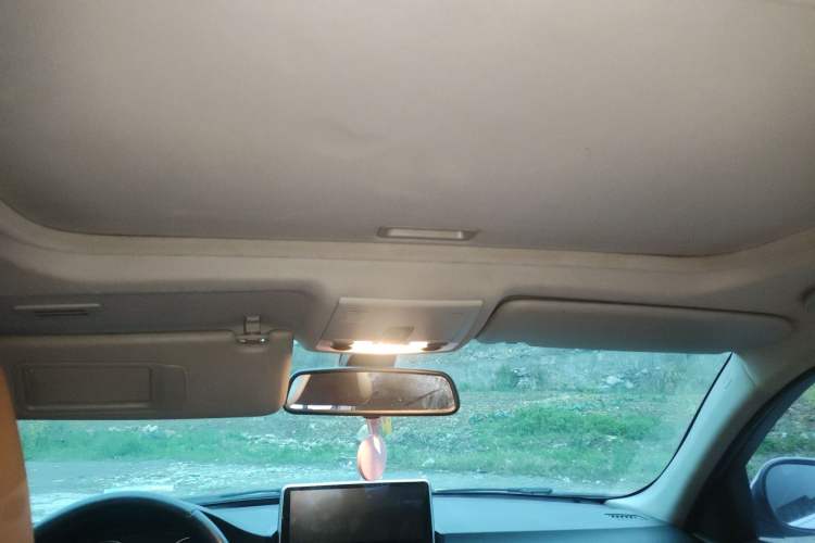 Used BMW 3 Series 2010 325i Sport Edition Headliner