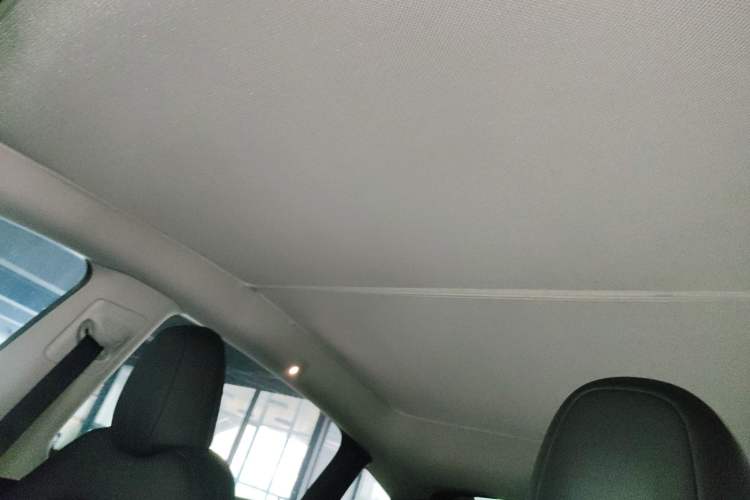 Used Tesla Model Y 2022 Rear-Wheel-Drive Version Headliner