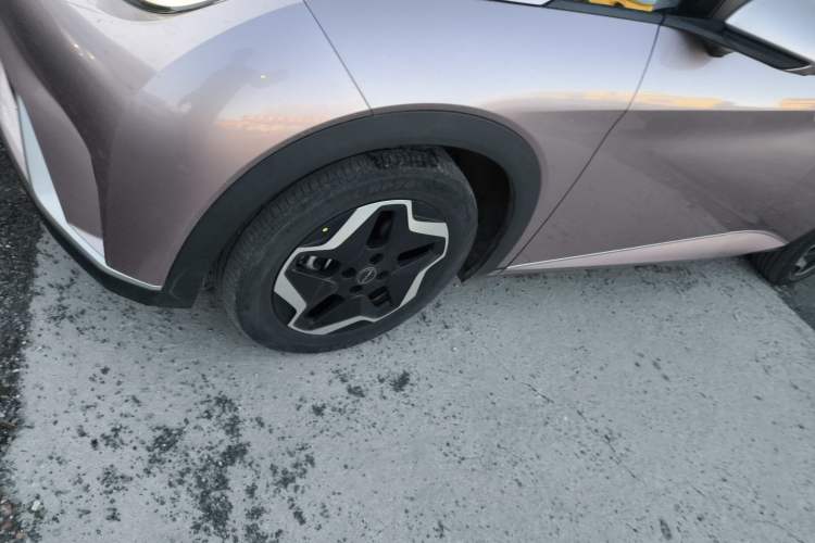 Used BYD Dolphin 2021 405 km Fashion Edition
