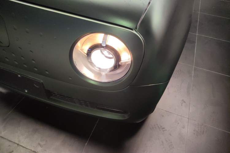 Used ORA Black Cat 2022 Updated Version 301 km Cute Pet Edition Lithium Iron Phosphate
