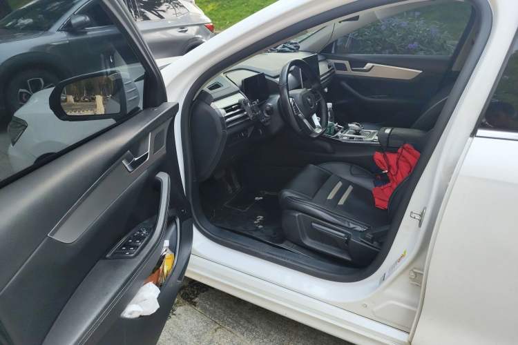 Used BYD Qin Pro New Energy 2019 EV Super Edition Standard Version Smart Connect Leading Style Driver Seat