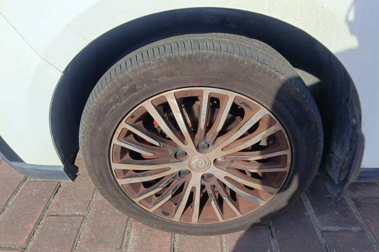 Used FORTHING S50 2021 Luxury Model