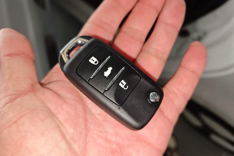 Used Qiyuan Lumin 2025 205 km Xiangqin Version