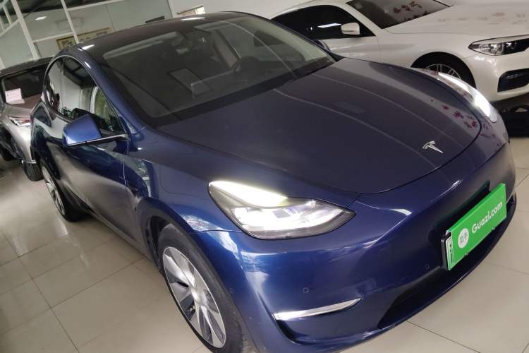 Used Tesla Model Y 2021 Standard Range Rear-Wheel Drive Version
