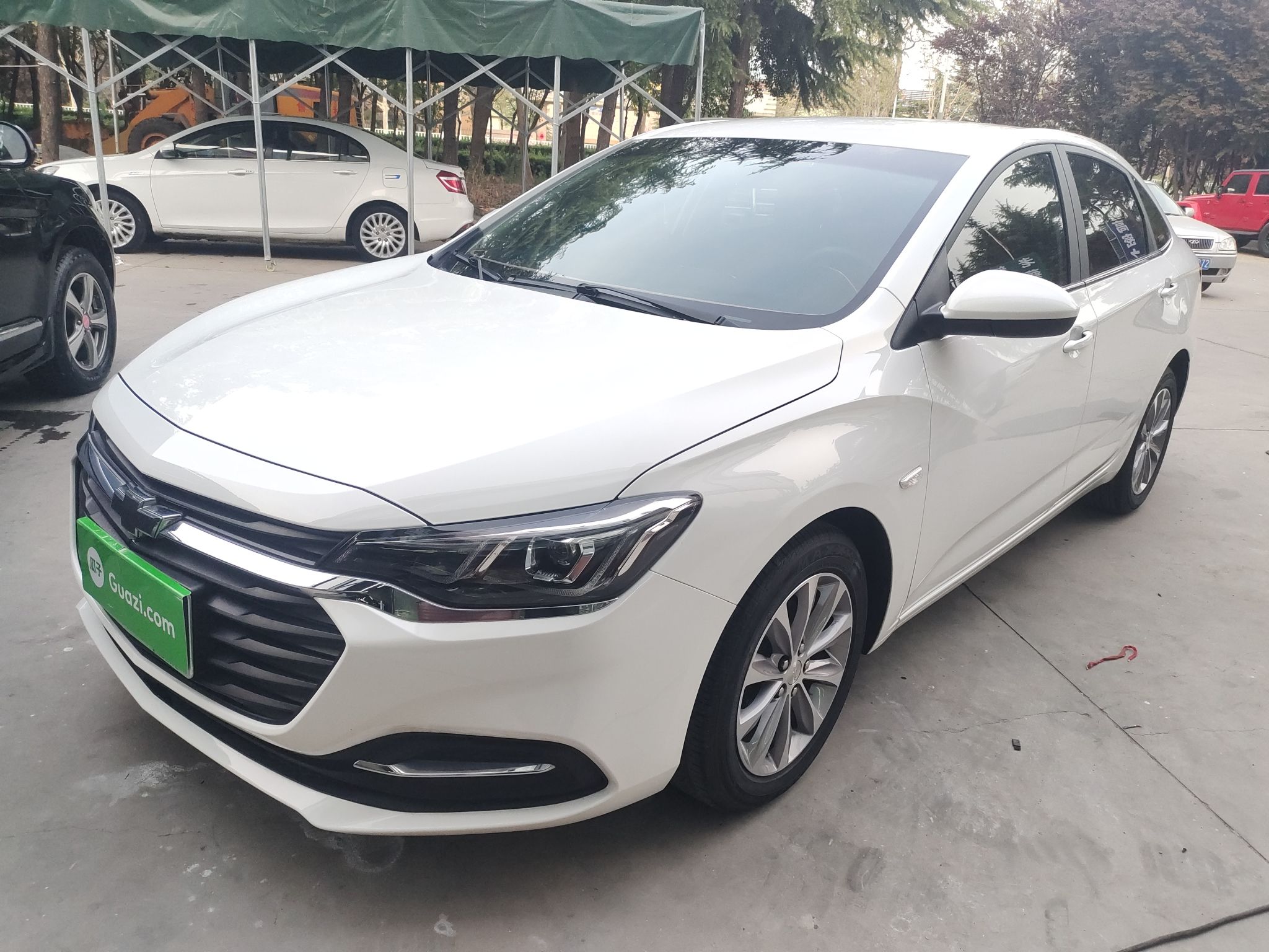 Parte inferior delantera