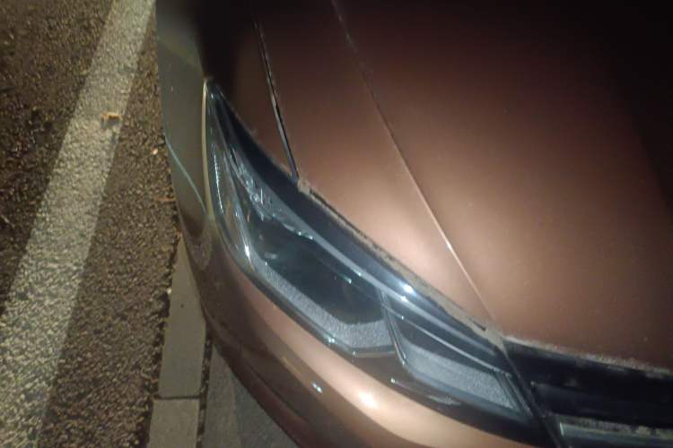 Used Volkswagen Lamando 2015 230TSI DSG Fashion Edition