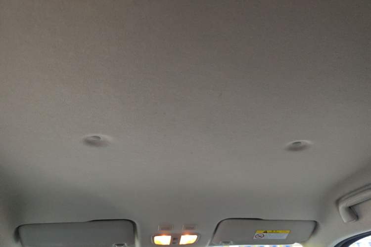 Used ORA White Cat 2020 305 km Luxury Version Headliner