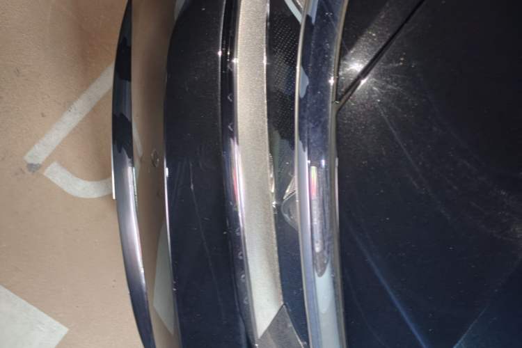 Used Volkswagen Magotan 2019 330TSI DSG Leading Model China VI Standard
