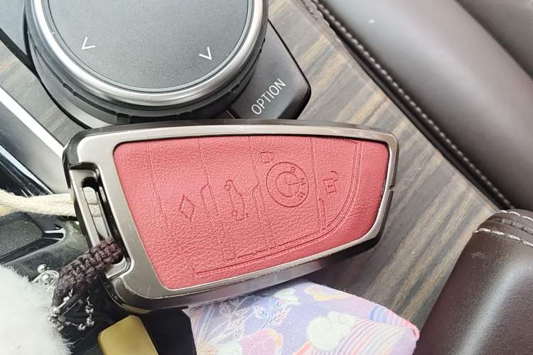 Used BMW 5 Series 2020 530Li Leading Edition Luxury Package
