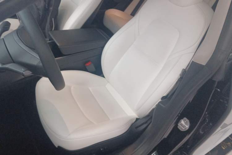 Used Tesla Model 3 2020 Revised Version Standard Range Rear-Wheel Drive – Upgraded Edition