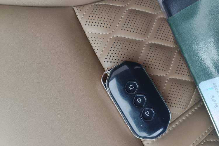 Used Wuling Victory 2023 2.0L DHT Luxury Edition