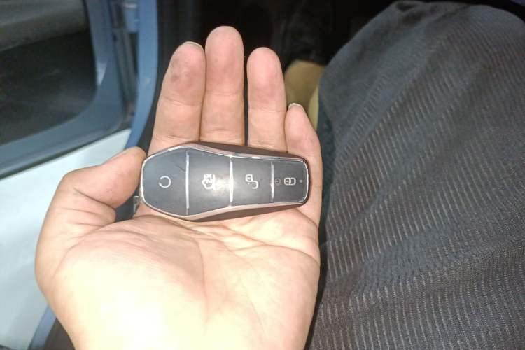Used BYD Seagull 2023 Free Edition Vehicle Key