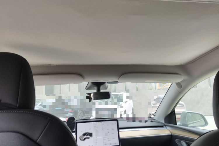 Used Tesla Model Y 2021 Standard Range Rear-Wheel Drive Version
