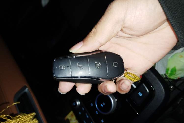 Used BYD e2 2021 Luxury Model Vehicle Key