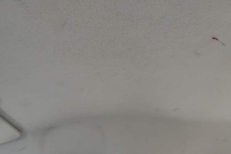 Used CHANGAN Benni E-Star 2021 National Edition Colorful Version Lithium Iron Phosphate (31.86 kWh)
