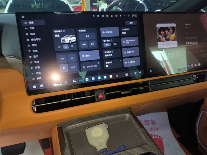 Used Wey Gaoshan 2025 Four-Wheel Drive Alpine 8 — 12