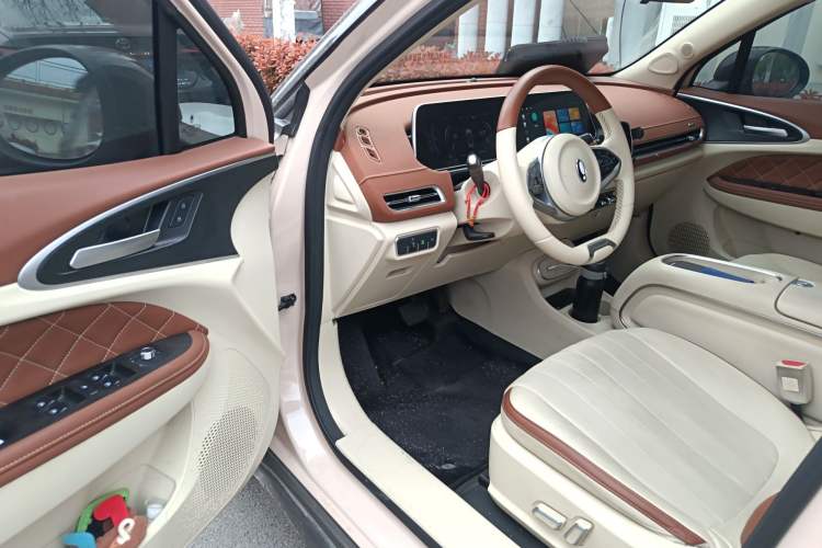 Used ORA Good Cat 2023 401 km Standard Range Luxury Version Lithium Iron Phosphate