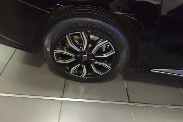 Used Hongqi HQ9 2023 2.0T Smart Connect Flagship Edition