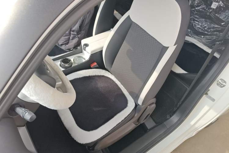 Used CHANGAN NEVO Lumin 2026 Model Treasure Edition 205km Passionate Beige Ningde Left Front Seat