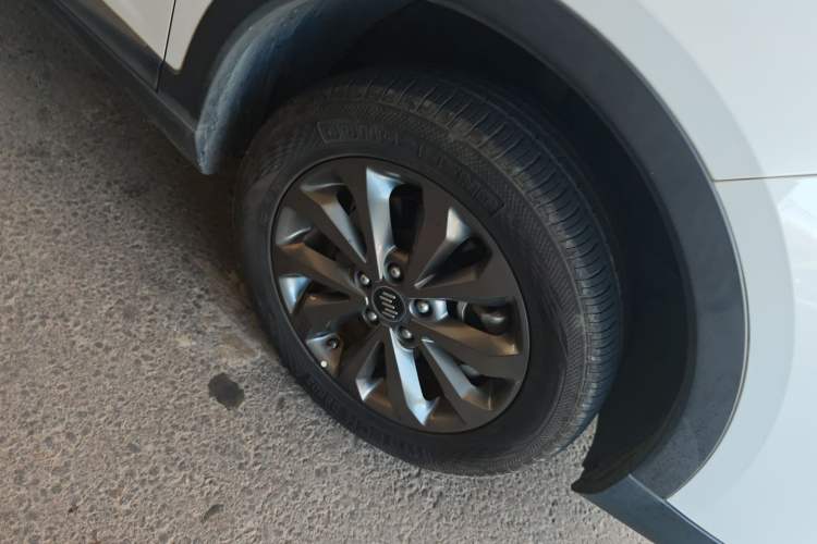 Used WM Motor EX5 2020 EX5 400 Jike Xing Edition
