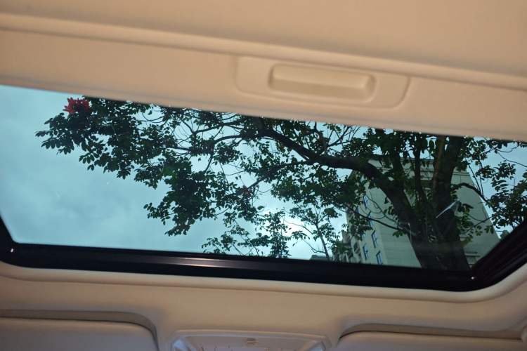 Used Ford Focus 2017 Hatchback EcoBoost 180 Automatic Sport Model Headliner