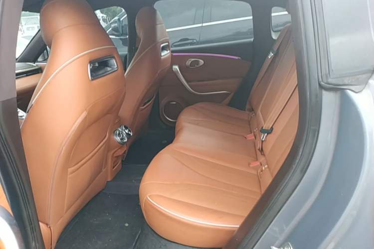 Used ORA Lightning Cat 2022 555 km Luxury Edition