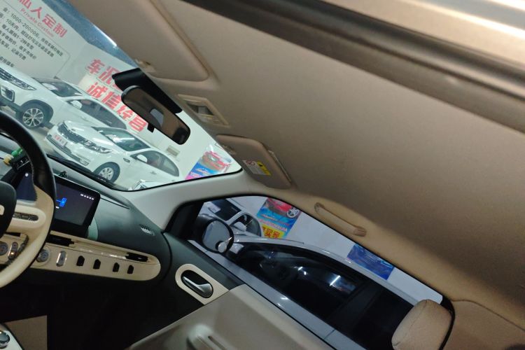 Used Qiyuan Lumin 2022 210km Sweet Edition
