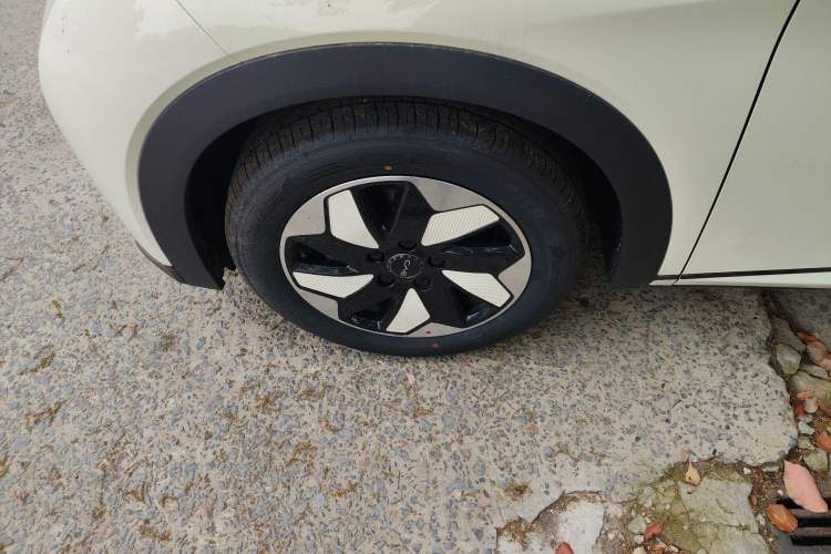 Used BYD Dolphin 2025 420km Free Edition Left Front Wheel Hub