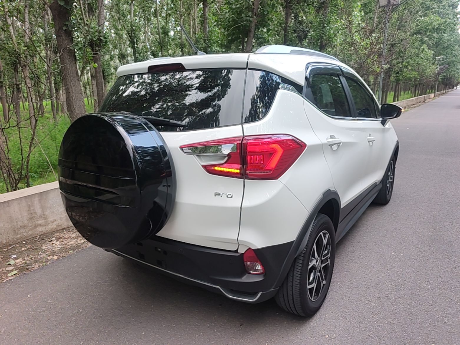 BYD Yuan Pro 2021 "Love for a Lifetime" Edition — снимка 6
