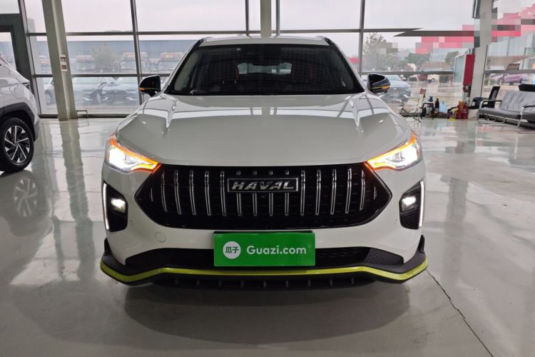 Used Haval LHERY 2021 High-Performance Version 1.5T Golden Rabbit