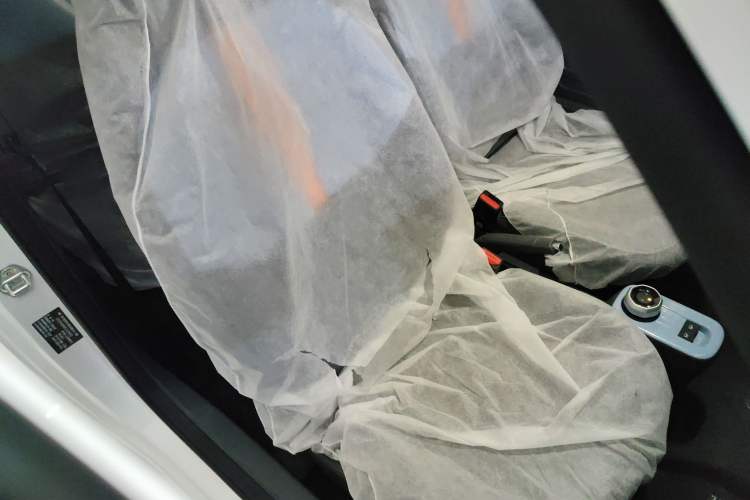 Used Geely Galaxy Panda 2024 Panda Mini 200km Endurance Bear
