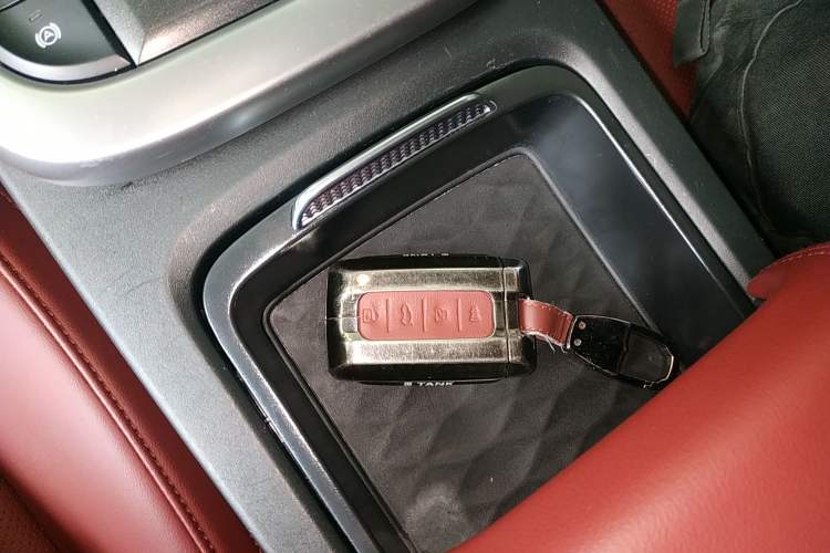 Used Tank 300 2024 2.0T Crosser