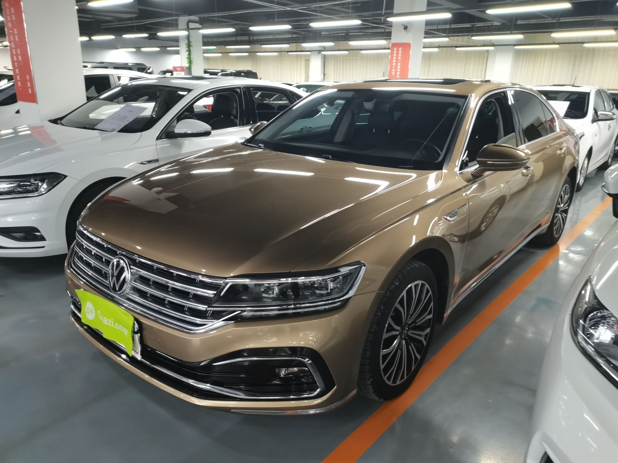 Parte inferior delantera