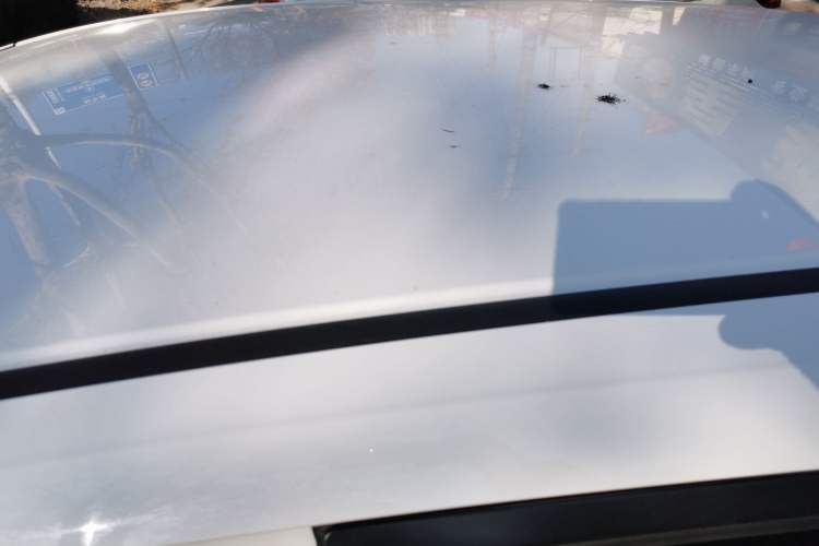 Used Honda Fit 2021 1.5L CVT Trendy Edition