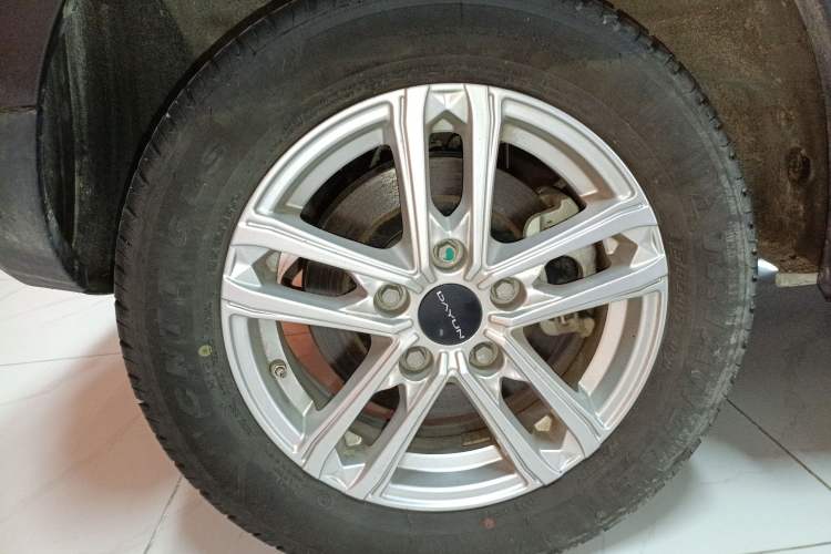 Used Dayun Yuehu 2022 30.66 kWh Two-Wheel Drive Standard Version