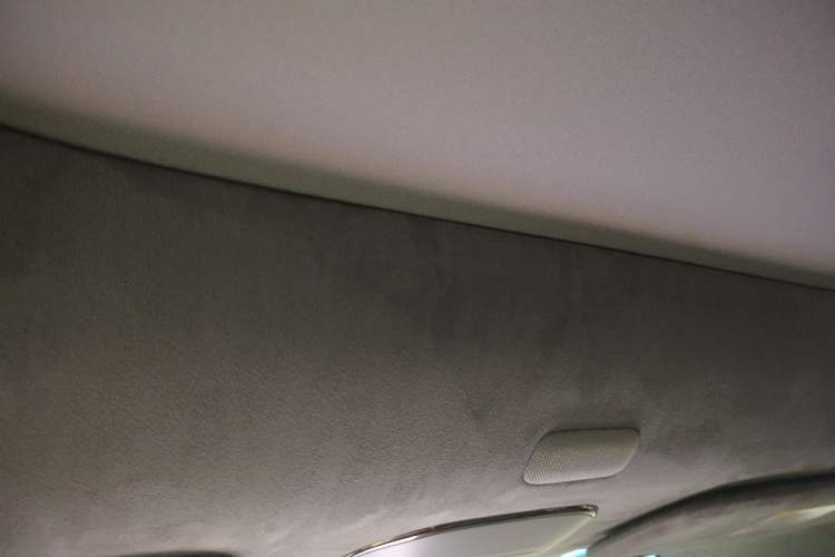 Used Zeekr MIX 2025 Intelligent Driving Version Headliner