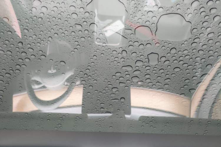 Used Tesla Model Y 2021 Long-Range All-Wheel-Drive Version Headliner