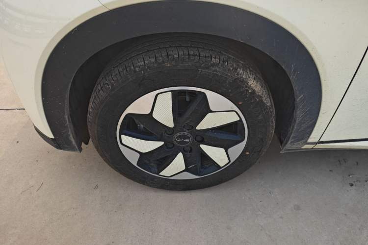 Used BYD Dolphin 2025 420km Free Edition
