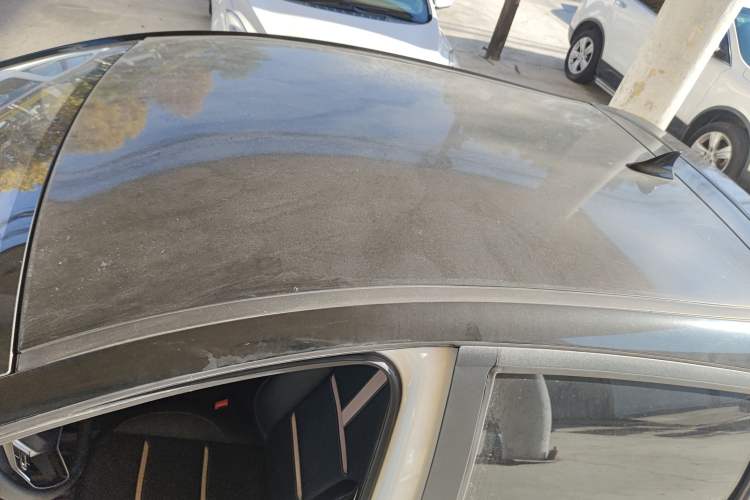 Used SOL E10X 2022 Flower Fairy Design Four-Leaf Clover